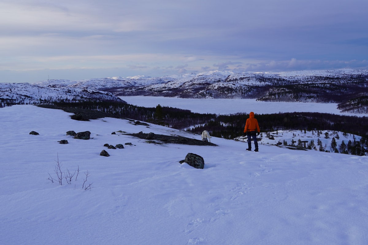 Winter landscape at the Norwegian Russian border with snowshoe hiker and husky