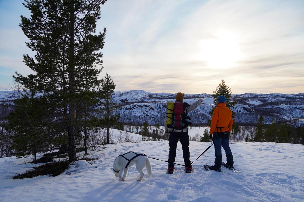 Two people and a husky snowshoeing along the Norwegian-Russian border