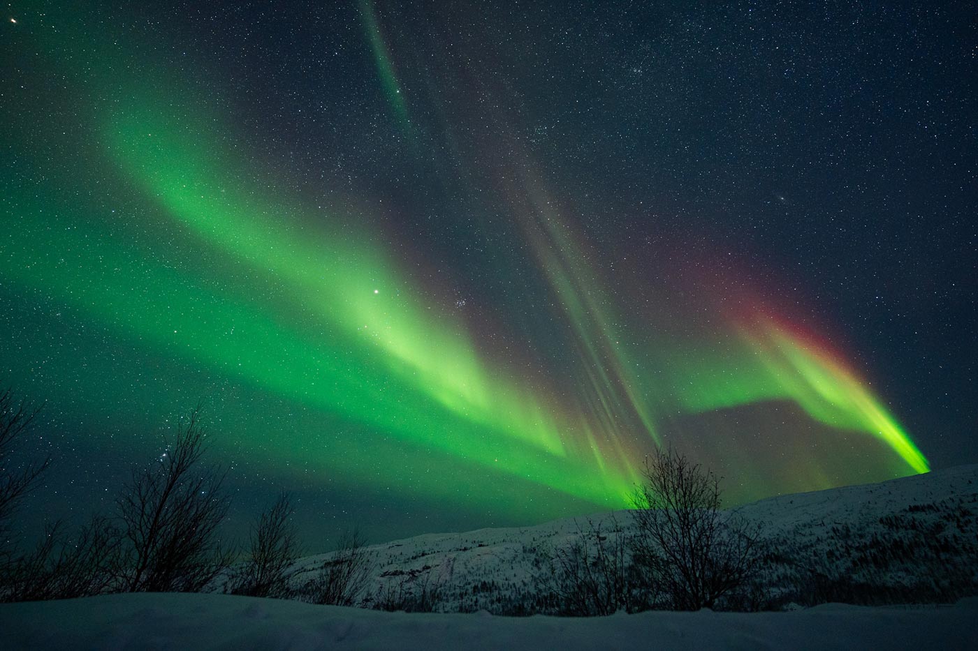 Chasing-Northern-Lights-Hendrik-Seifert-kirkenes-tours-1 sized