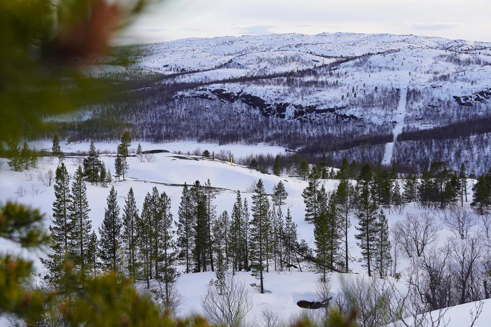 View on Norwegian-Russian border