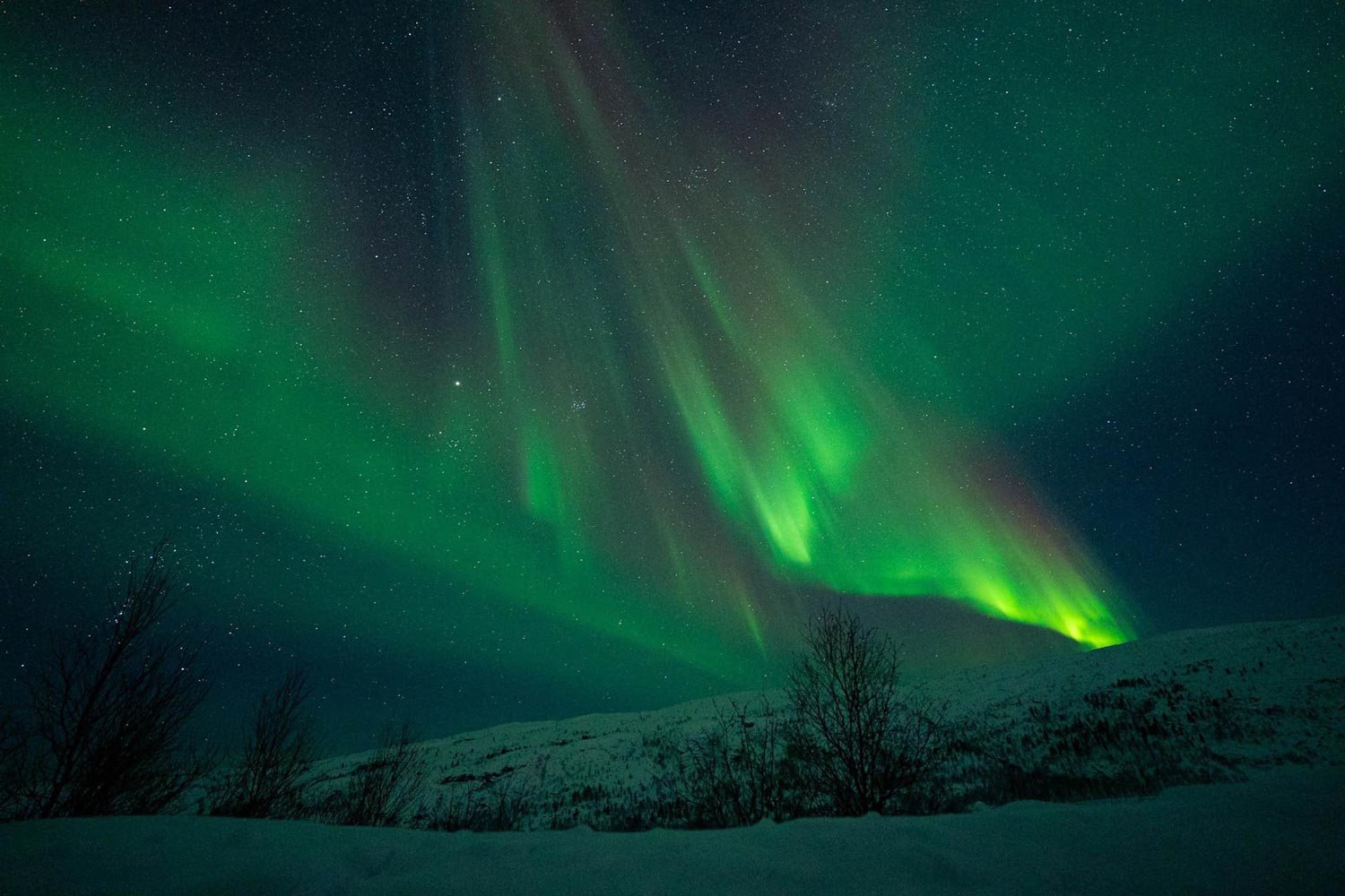 Chasing Northern Lights - Hendrik Seifert - kirkenes tours 2 sized