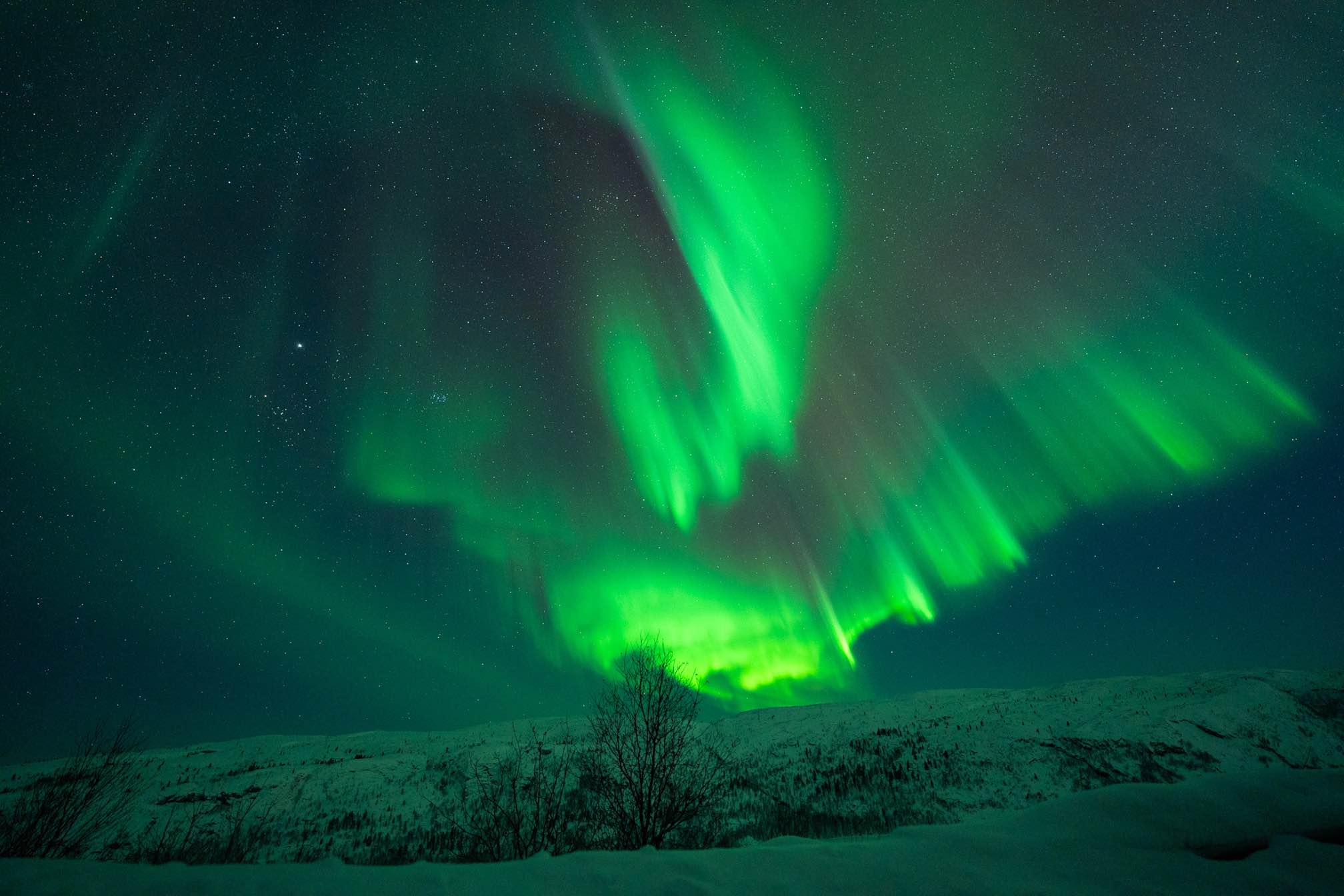 Chasing Northern Lights - Hendrik Seifert - kirkenes tours 3