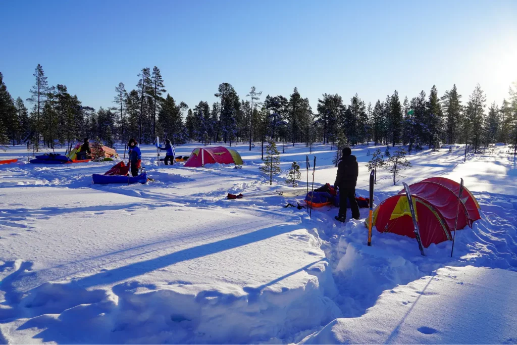 Group of tents pitched in the snow in the Pasvik Valley in Northern Norway