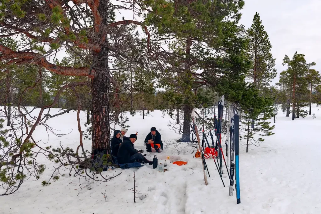Eine Gruppe macht eine Pause während einer Skitour im Pasvik-Tal und sitzt im Schnee unter Bäumen mit Skiern in der Nähe in einer arktischen Winterlandschaft