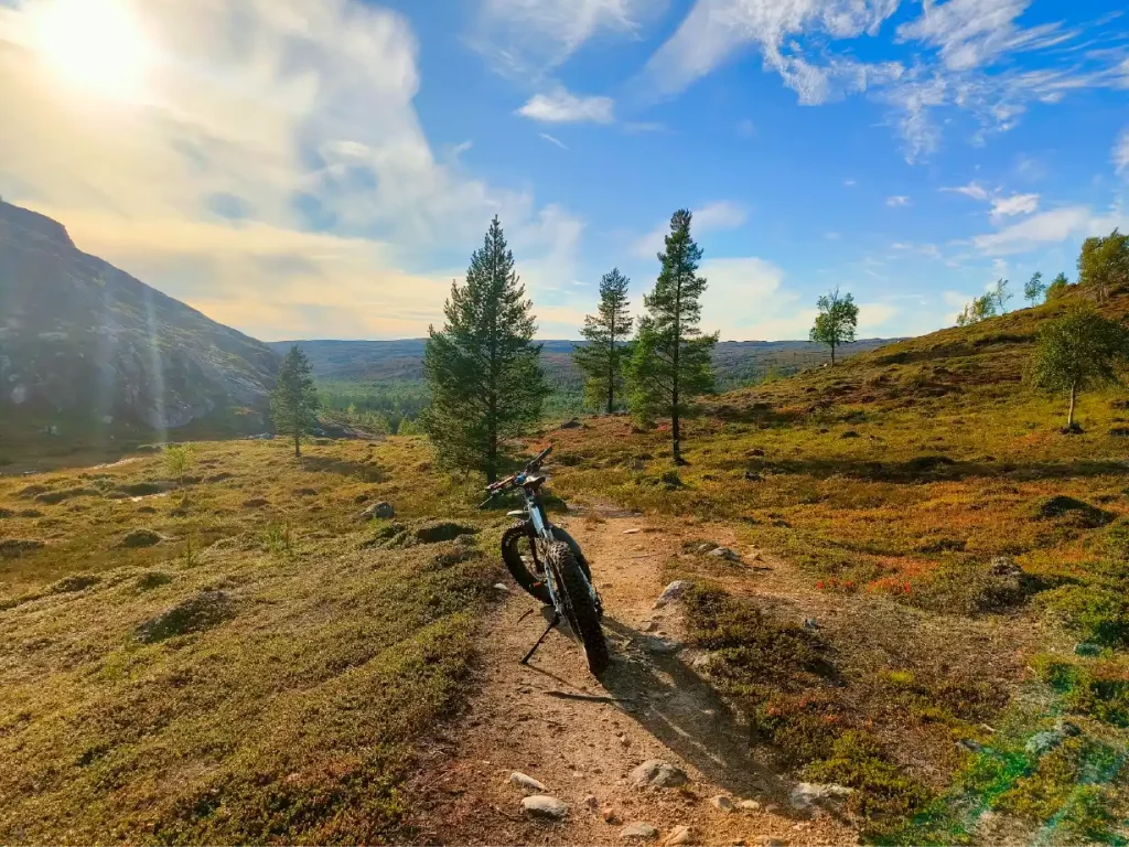 Elektrisches Fatbike, geparkt auf einem gewundenen Pfad in einer goldenen Herbsttundra-Landschaft mit verstreuten Bäumen und weichem Abendlicht in der Nähe von Kirkenes in Nordnorwegen.