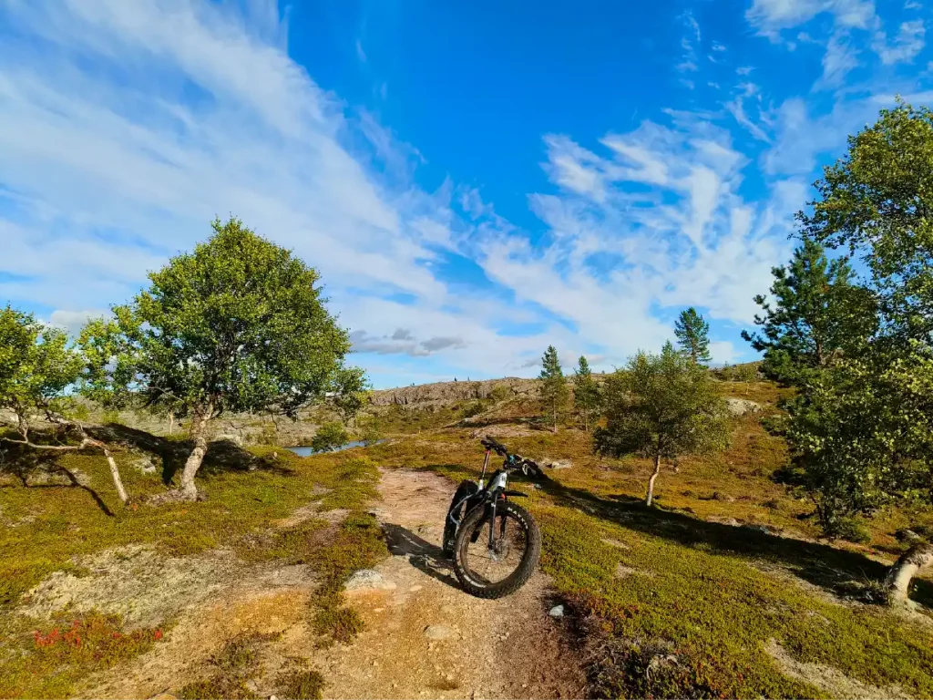 Das E-Fatbike steht auf einem schmalen Pfad in der Tundralandschaft von Sandnesdalen bei Kirkenes, umgeben von kleinen Bäumen und offener arktischer Natur.