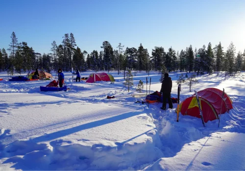 Gruppe von Zelten, die im Schnee im Pasvikdalen in Nordnorwegen aufgeschlagen sind
