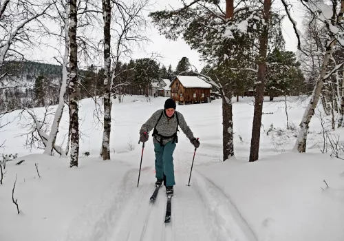 Backcountry Skiing Waldhütte Kirkenes Wintersport Nordnorwegen - Kirkenes Touren