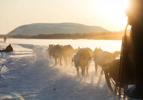Schlittenhunderennen an einem sonnigen Wintertag auf einem zugefrorenen See in der Nähe von Kirkenes
