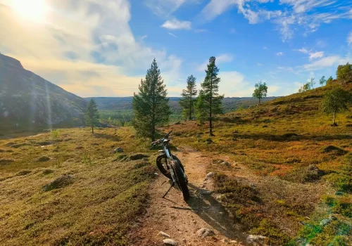 Elektrisches Fatbike, geparkt auf einem gewundenen Pfad in einer goldenen Herbsttundra-Landschaft mit verstreuten Bäumen und weichem Abendlicht in der Nähe von Kirkenes in Nordnorwegen.