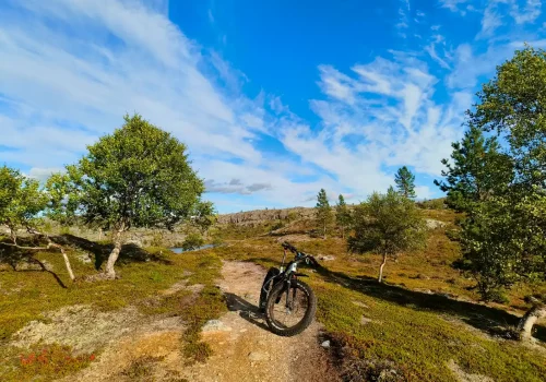 Das E-Fatbike steht auf einem schmalen Pfad in der Tundralandschaft von Sandnesdalen bei Kirkenes, umgeben von kleinen Bäumen und offener arktischer Natur.