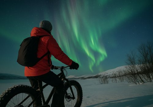 Man starring at the Arctic sky with dancing Northern Lights around Kirkenes
