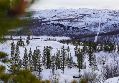 View on Norwegian-Russian border