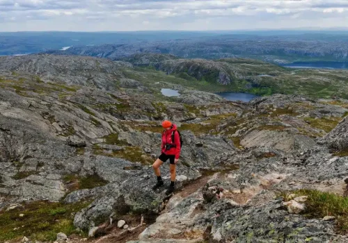 Wanderer in einer roten Jacke und orangefarbenen Mütze steht auf einem felsigen arktischen Bergrücken am Øretoppen in der Nähe von Kirkenes und blickt auf Seen und weite Tundra unter bewölktem Himmel.