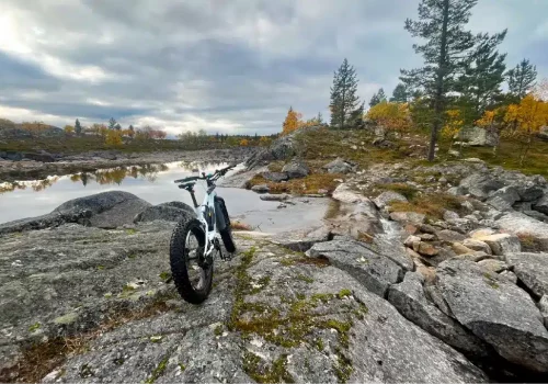 Riding electric fatbike through Arctic forest trails near Kirkenes - kirkenes tours