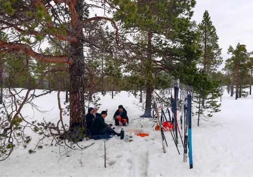 Eine Gruppe macht eine Pause während einer Skitour im Pasvik-Tal und sitzt im Schnee unter Bäumen mit Skiern in der Nähe in einer arktischen Winterlandschaft
