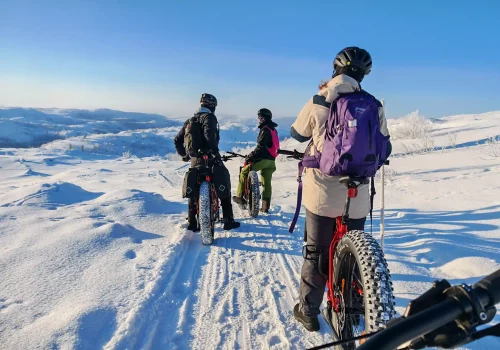 Guests riding electric fatbikes across a snowy Arctic landscape near Kirkenes, stopping to enjoy wide winter views under a clear blue sky.