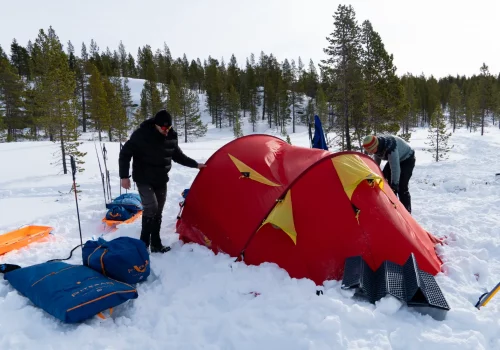 Menschen bauen ein Expeditionszelt im Schnee während eines Wintercampingausflugs im Pasvikdalen in der Nähe von Kirkenes in Nordnorwegen auf.